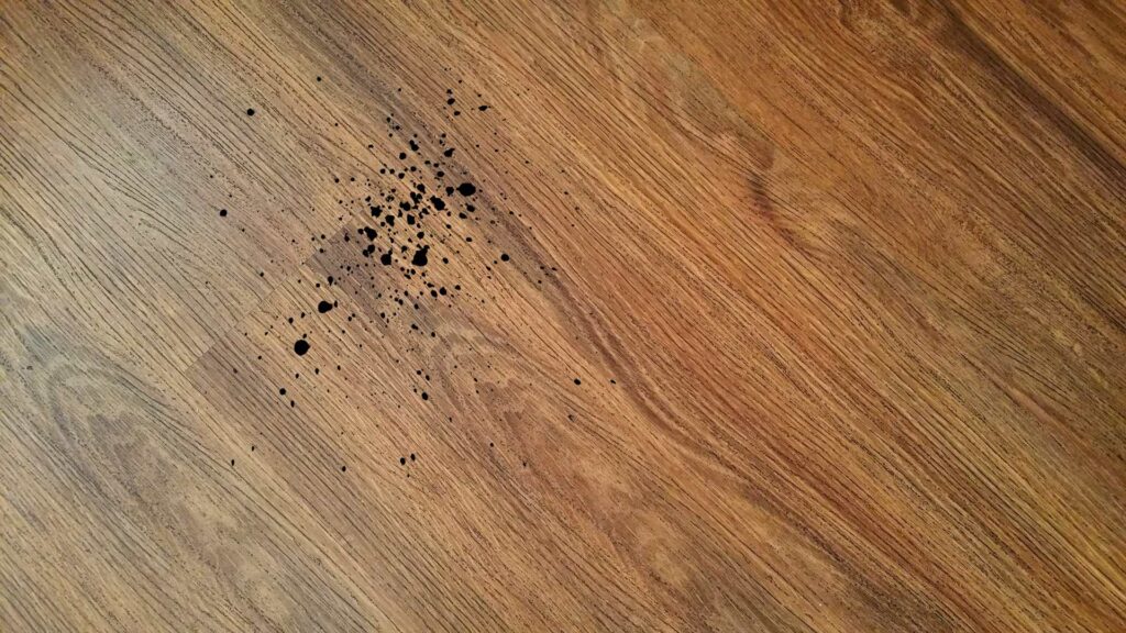 Små sorte pletter spildes på trægulvet
